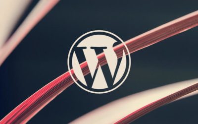 Why everyone should be using a WordPress website design