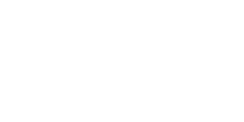 Alniro logo
